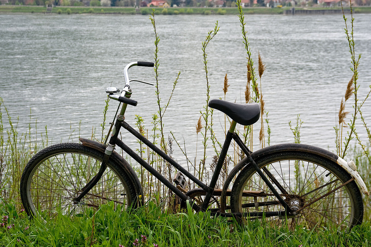 Foto Fahrrad am Ufer