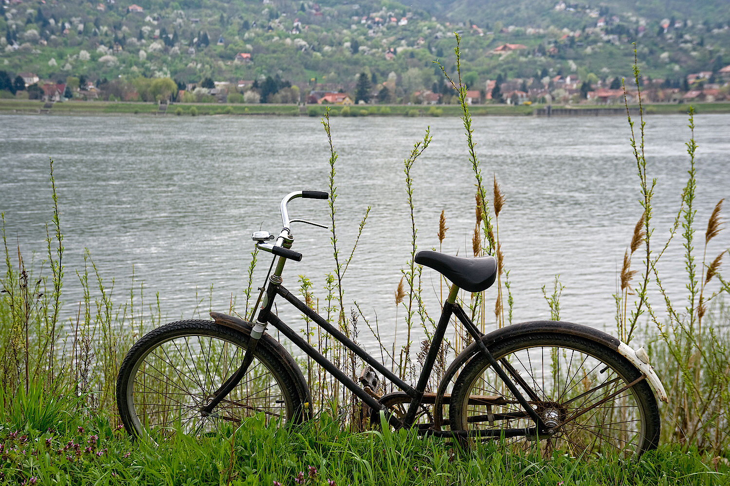 Foto Fahrrad am Ufer
