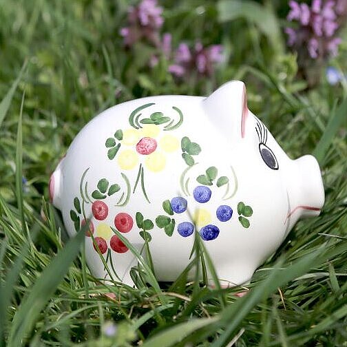 buntbemaltes Sparschein auf grüner Wiese