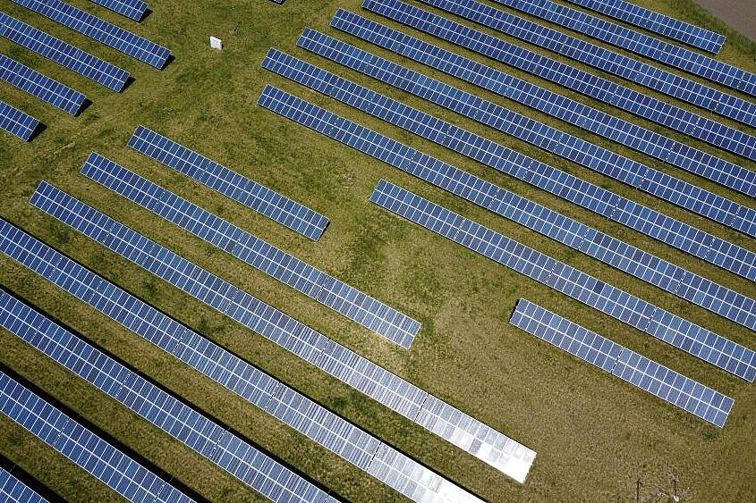 Einige Reihen von Photovoltaik-Anlagen in grüner Wiese.