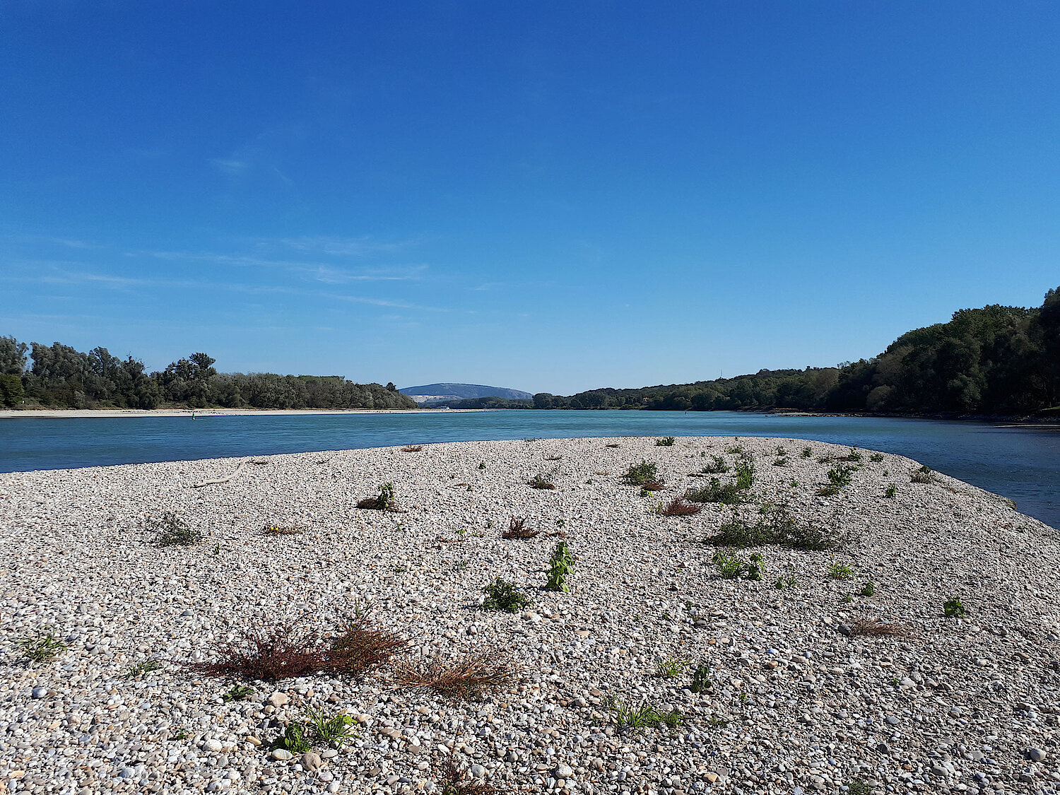 Foto Donau Niedrigwasser