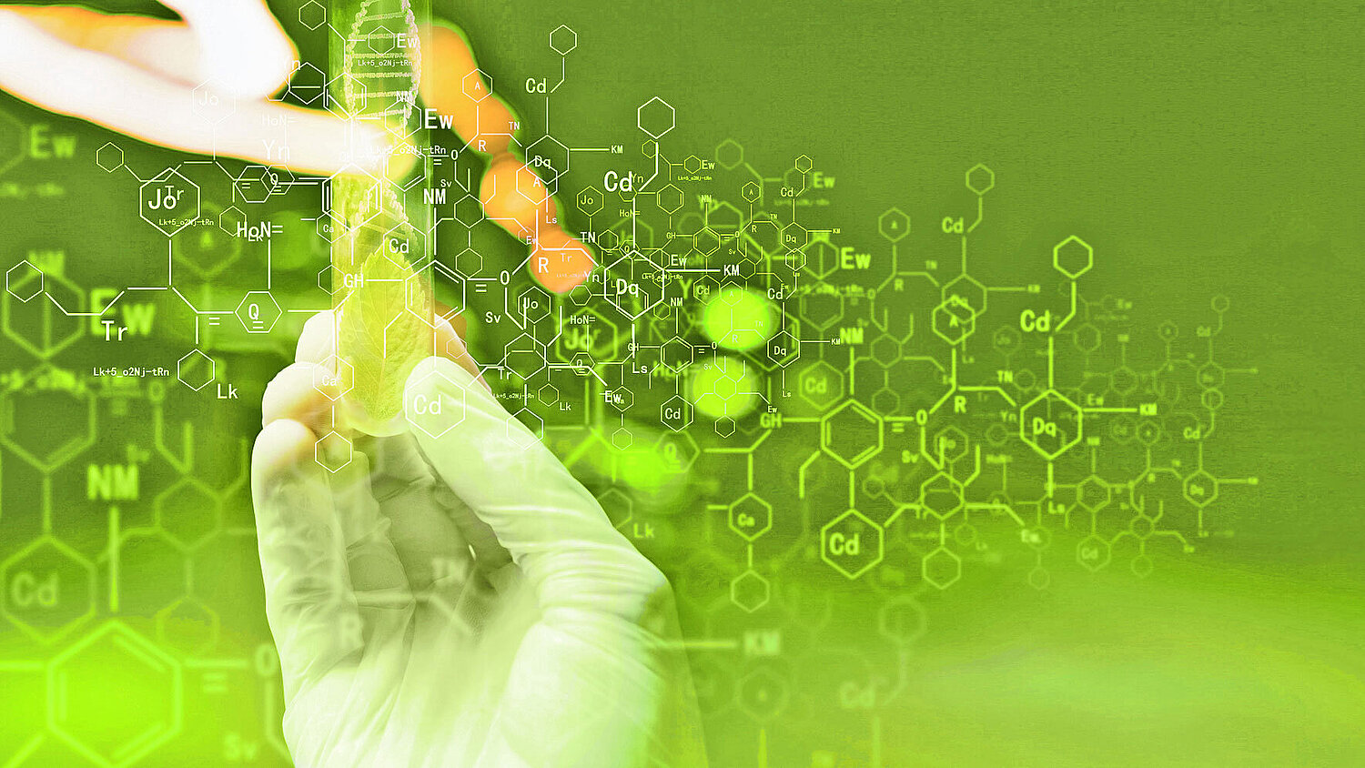 Foto Laborteströhrchen