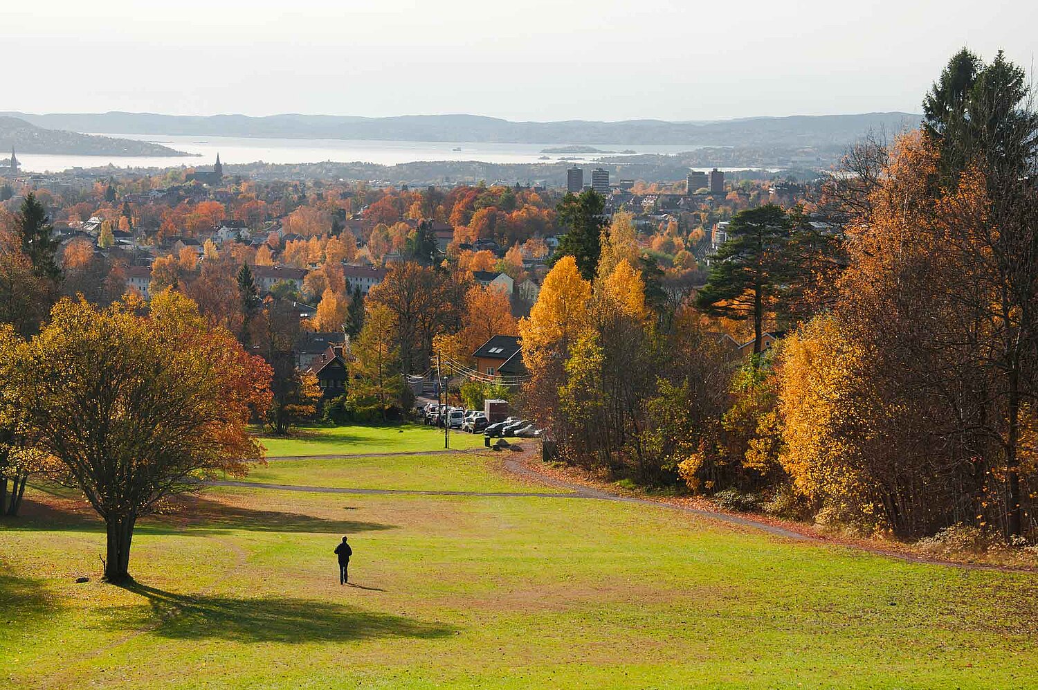 Foto Spaziergänger auf einer großen Wiese
