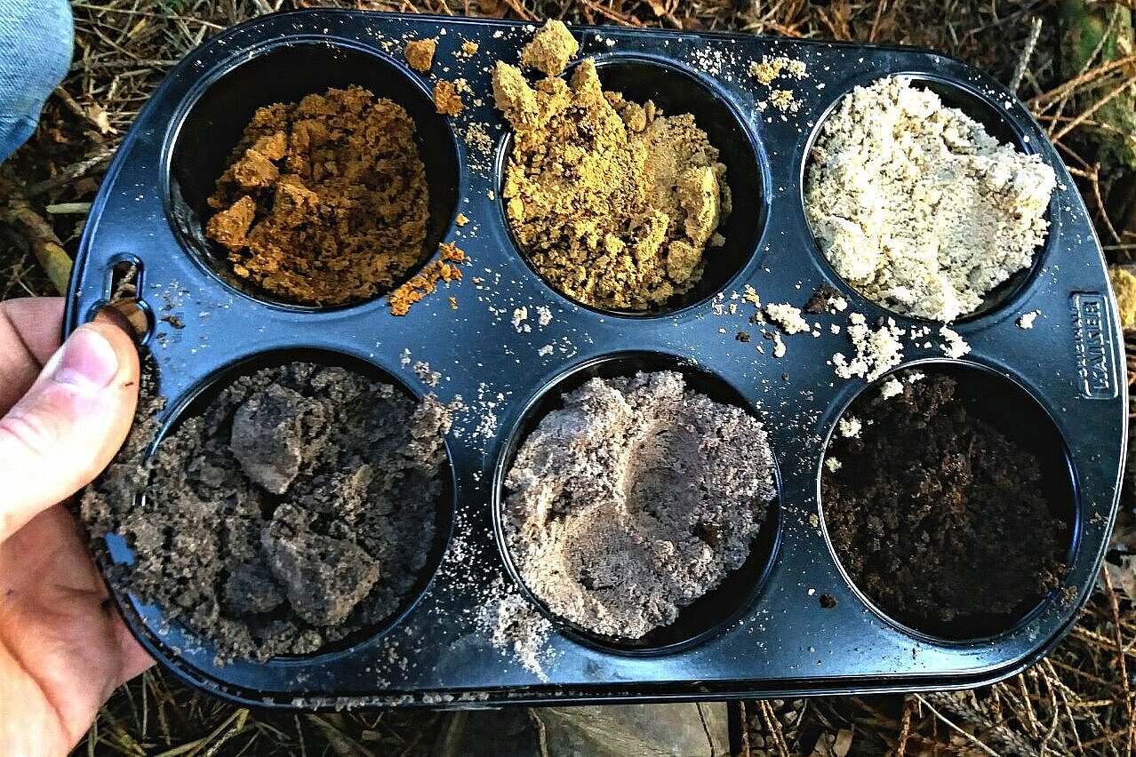 Kuchenform mit Muffins aus verschiedenem Boden