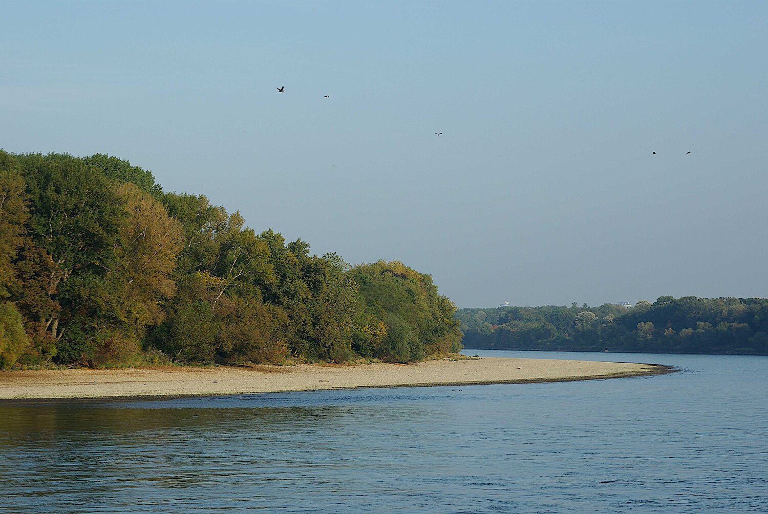Sandbank an der Donau