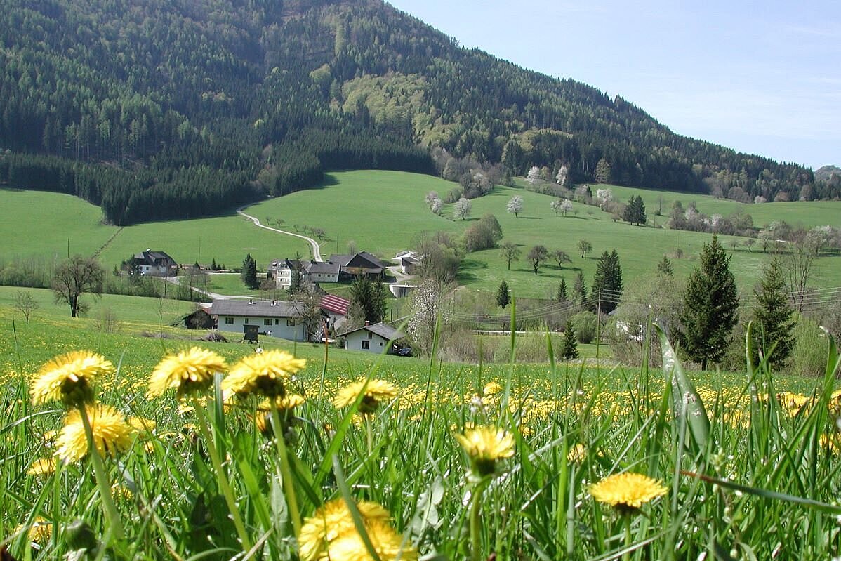 Foto Frühlingswiese mit Dorf