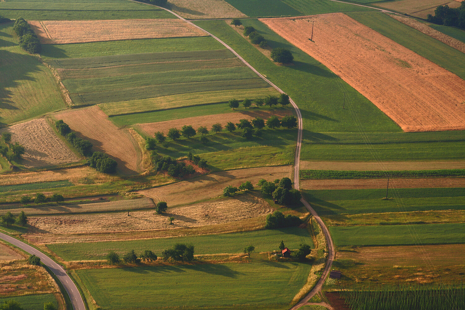 Foto Luftaufnahme von Feldern
