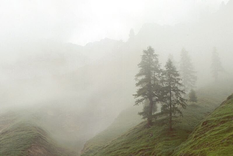 Foto Nebel im Gebirge