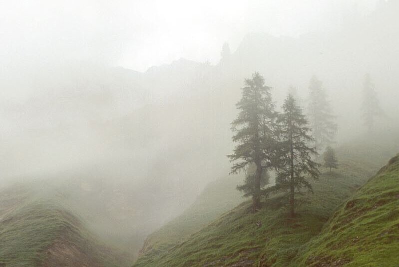 Foto Nebel im Gebirge