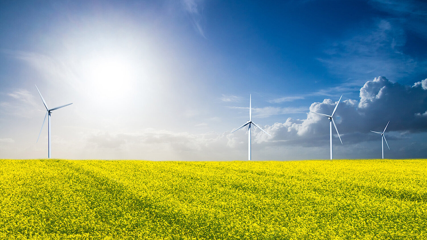 Photo of an agricultural landscape with wind turbines