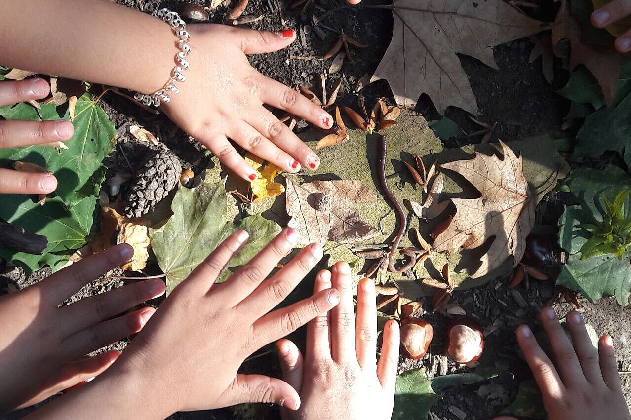 Kinderhände über Blättern und Früchten am Waldboden