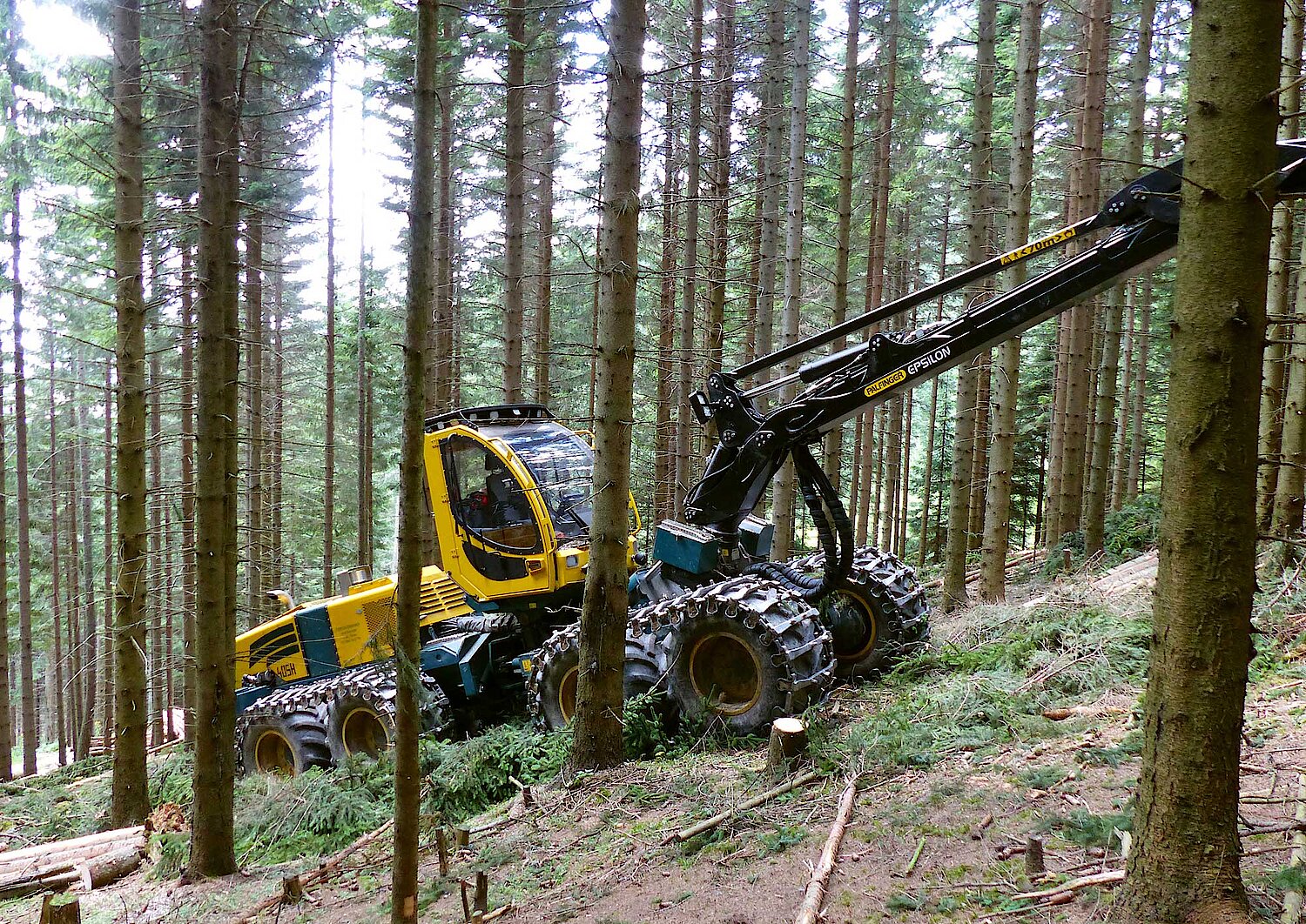 Harvester im Wald