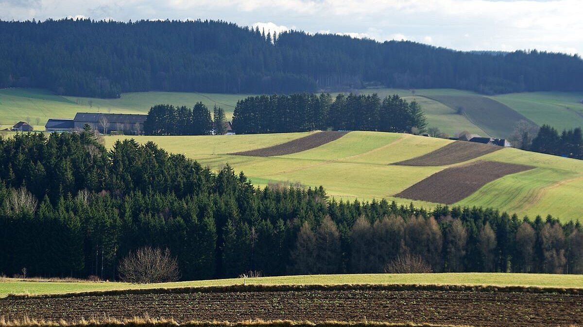 Foto Kulturlandschaft