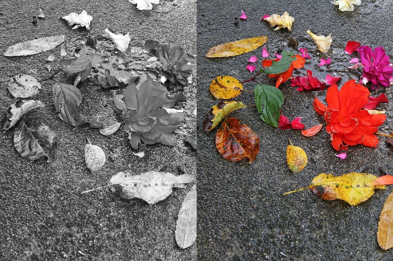 Blätter und Blumen auf der Straße - einmal bunt, einmal grau