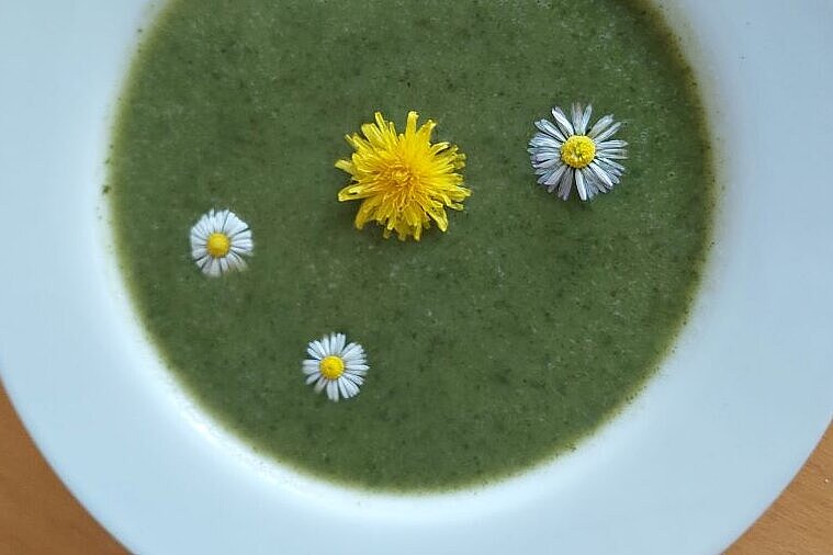 Grüne Löwenzahnsuppe, geschmückt mit drei Gänseblumenblüten und einer Löwenzahnblüte, in einem weißen Teller.