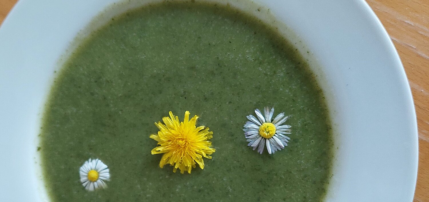 Grüne Löwenzahnsuppe, geschmückt mit drei Gänseblumenblüten und einer Löwenzahnblüte, in einem weißen Teller.