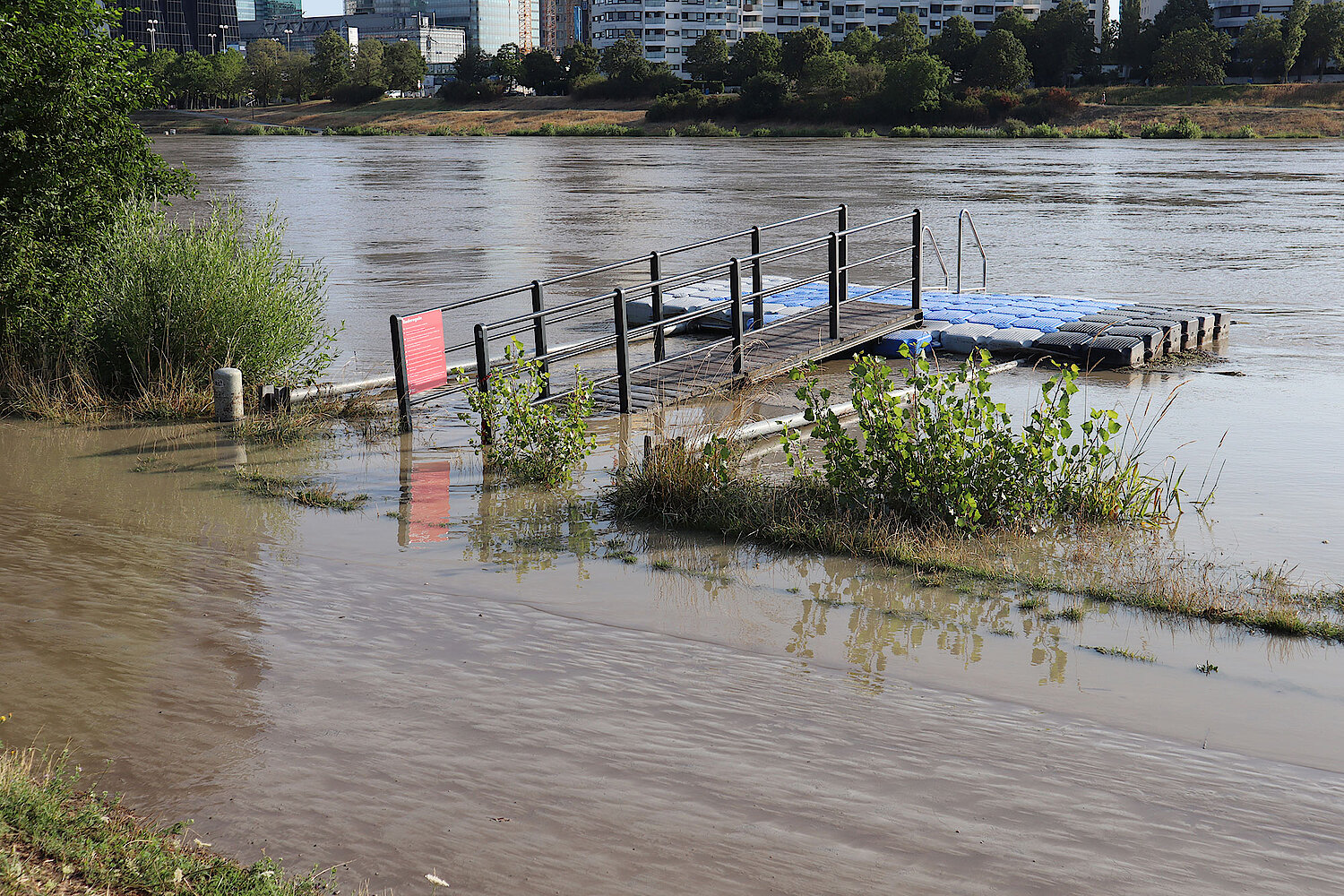 Foto Hochwasser in Wien