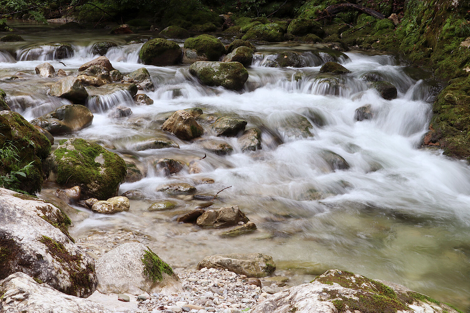 Foto Flusslauf