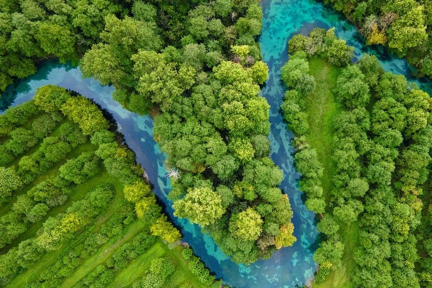Flusslauf durch grüne Wälder