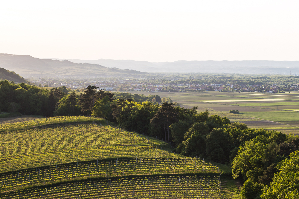 Foto Aussicht auf Kulturlandschaft Unteres Traisental