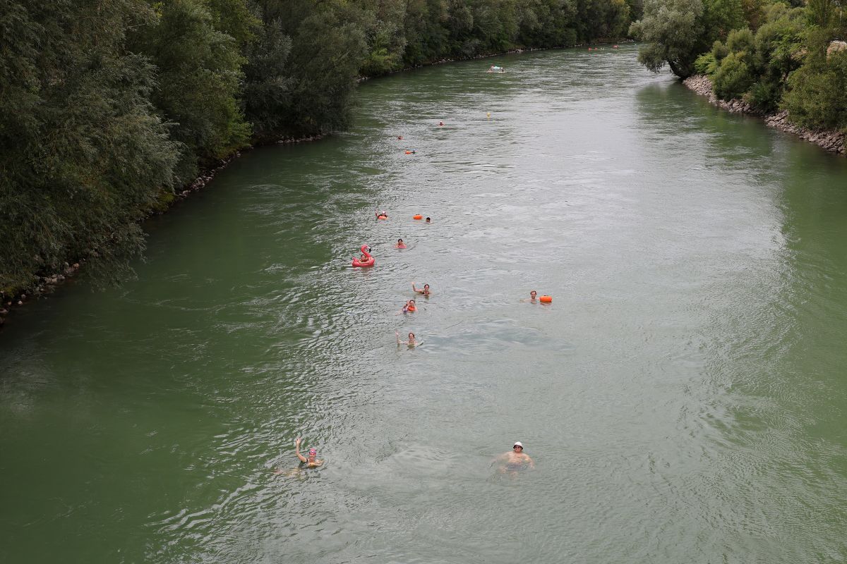 Schwimmer:innen im Donaukanal Wien