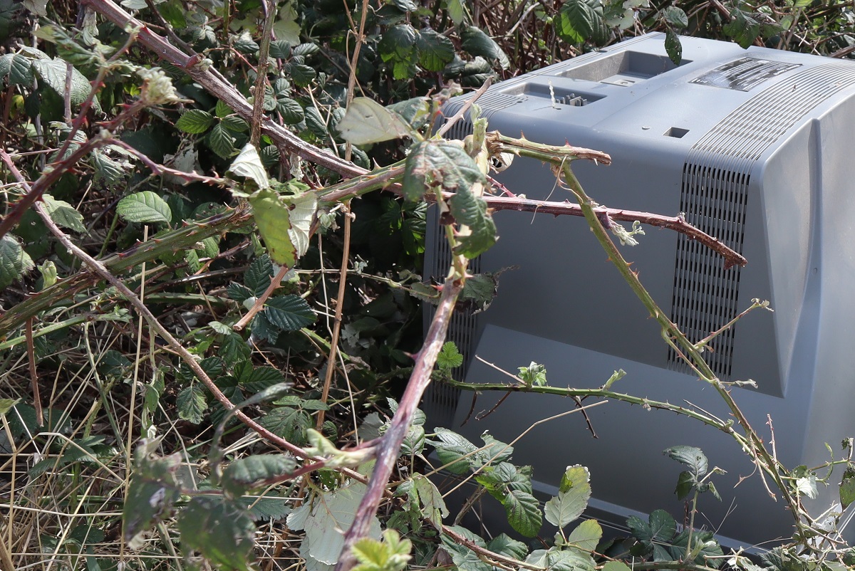 Illegal entsorgter Fernseher im Waldflur.