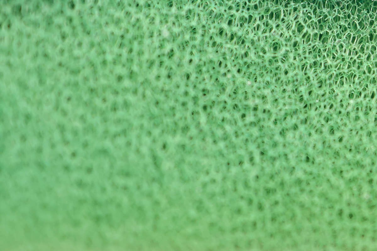Strukur eines grünen Geschirrschwammes