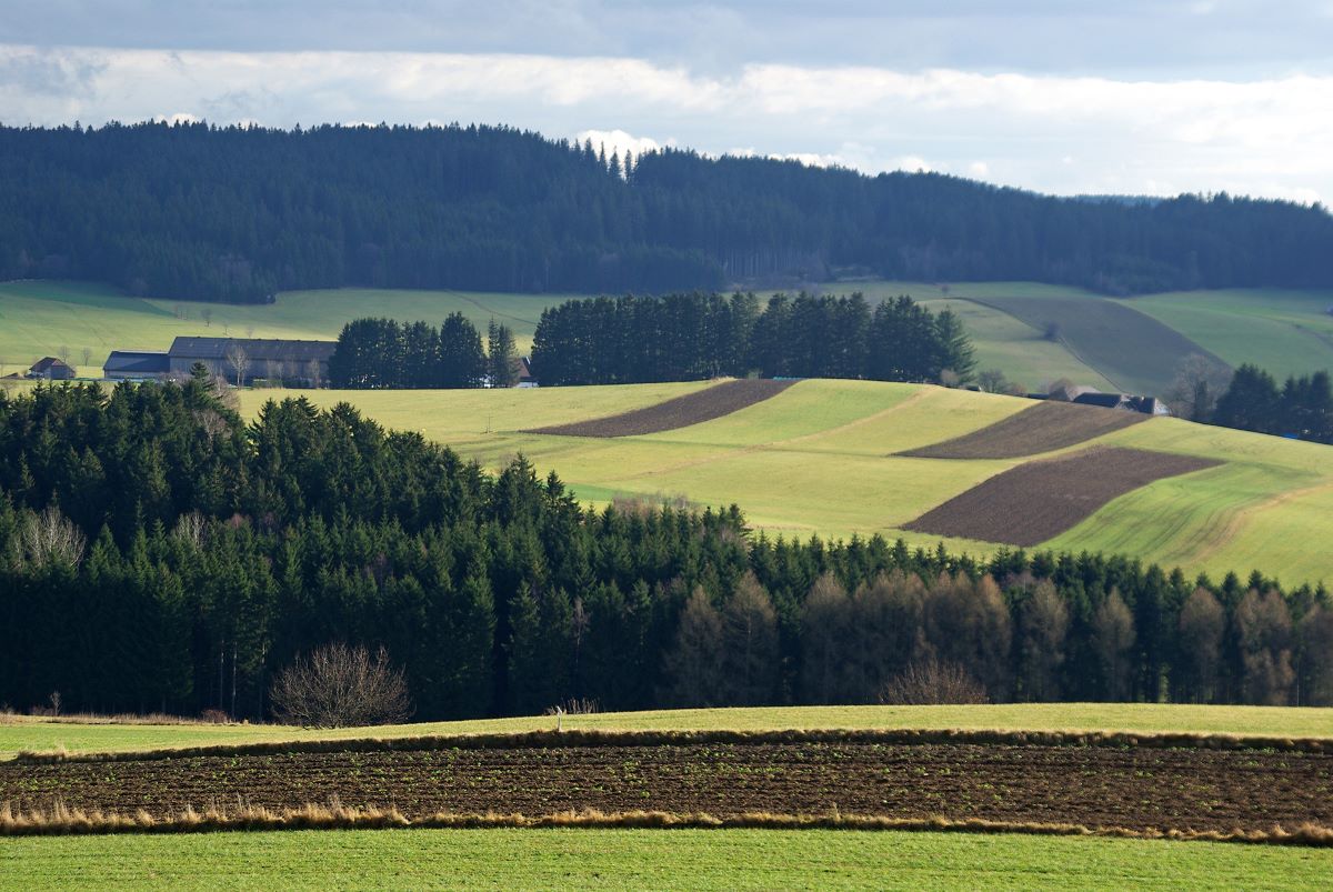 Foto Kulturlandschaft