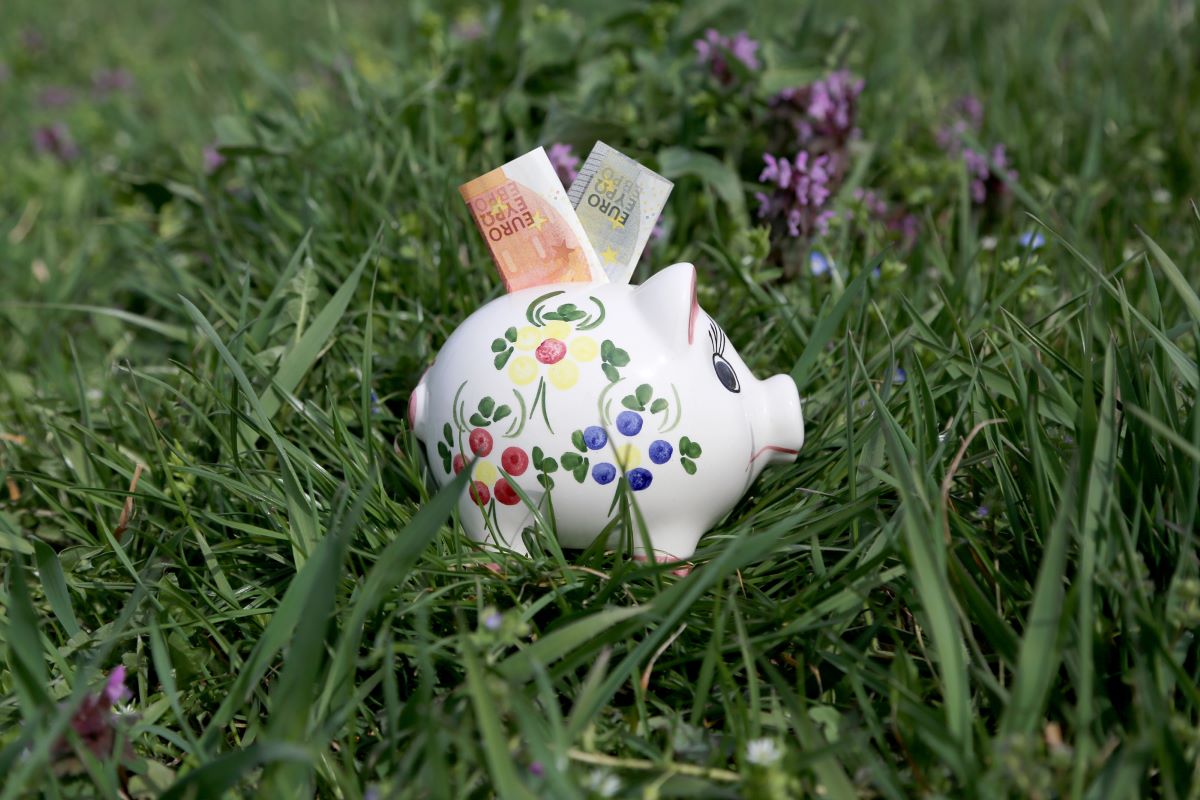 Foto Sparschwein mit Euroscheinen auf grüner Wiese