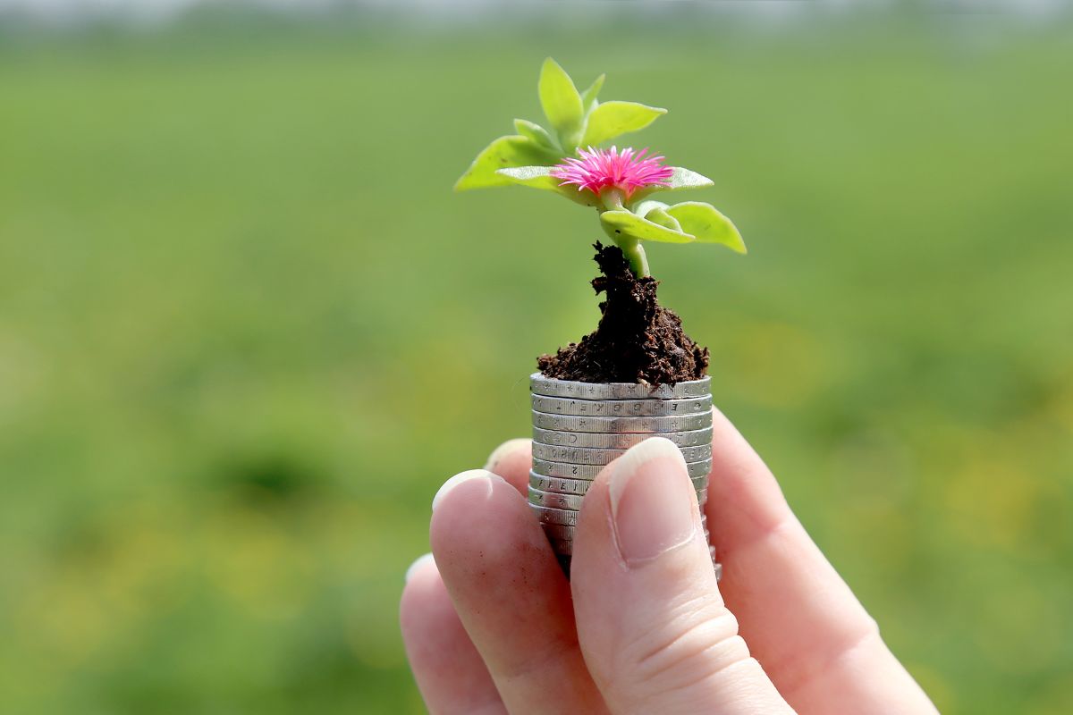 Finger halten einen winzigen Blumentopf mit Pflanze vor grünem Hintergrund