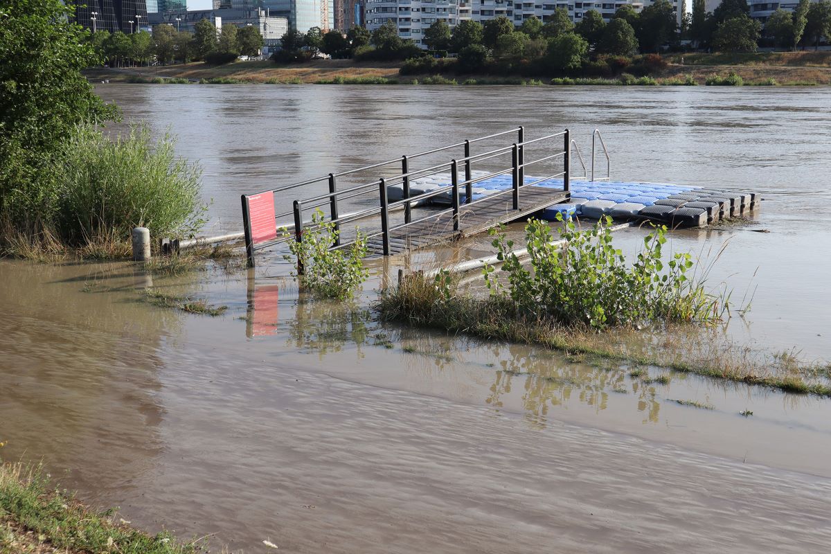 Foto Hochwasser in Wien