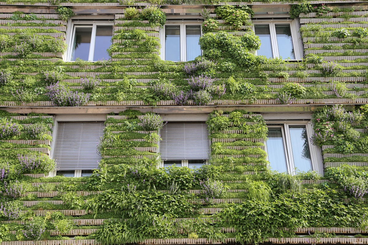 begrünte Fassade mit Fenstern