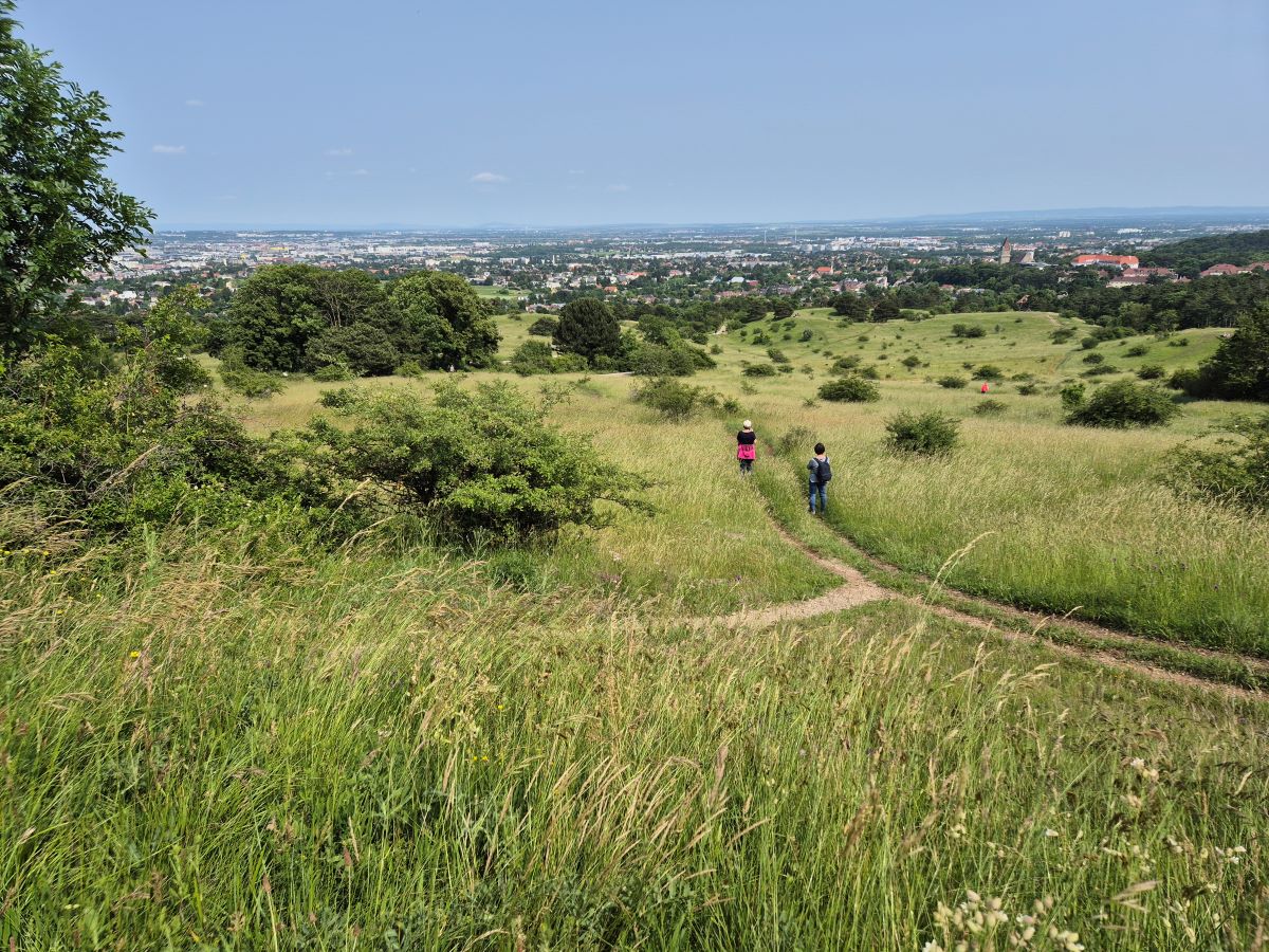 Blick über die Perchtoldsdorfer Heide. Sie zählt zu den bekanntesten und größten zusammenhängenden Trockenrasen-/Halbtrockenrasen-Gebieten in Ostösterreich.