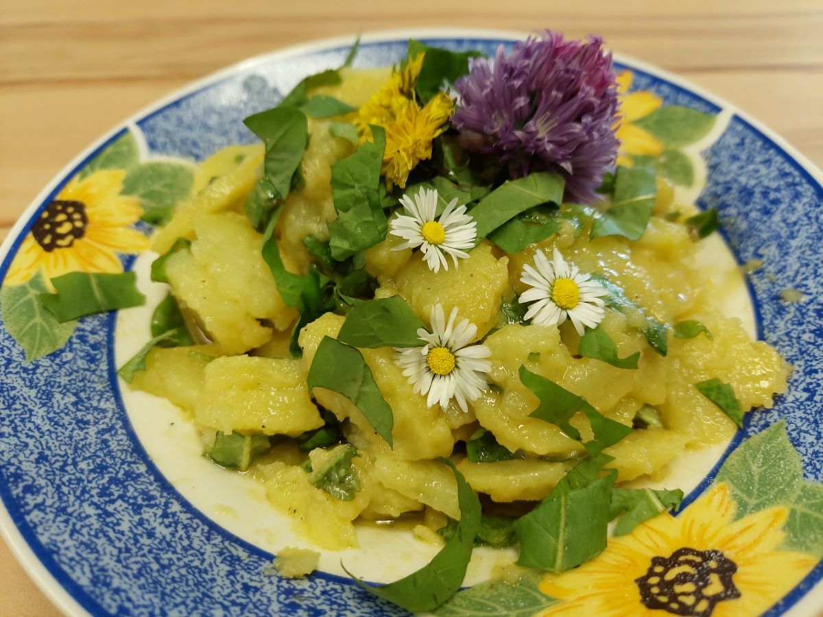 Löwenzahnsalat mit gekochten Kartoffelscheiben auf einem blauen Teller.