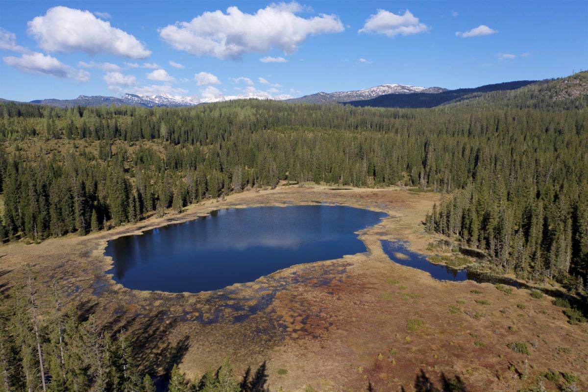 Landschaftsfoto des Miesbodensees mit seinen umliegenden Moor- und Waldbereichen. 