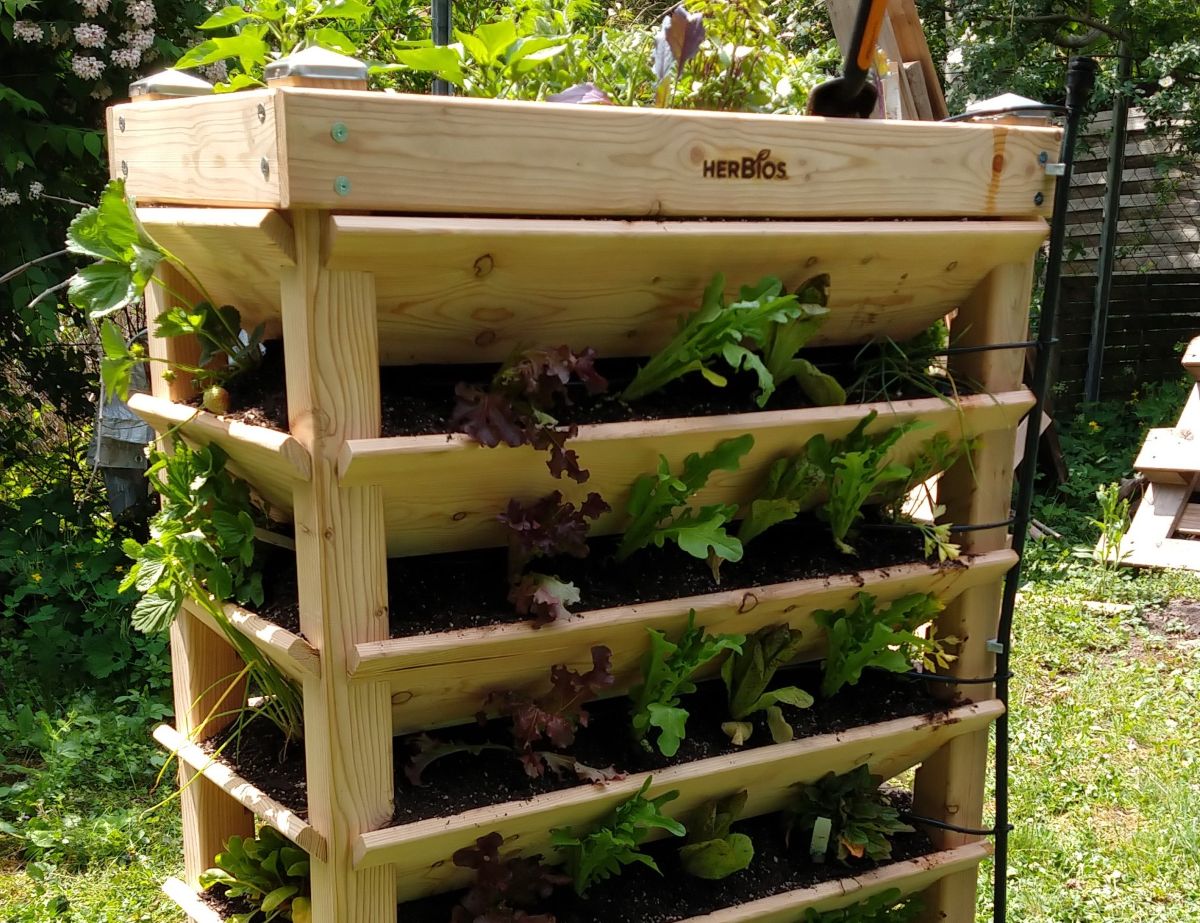 Foto von vertikalem Beet 